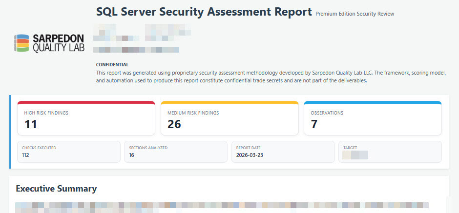 SecurityAssessmentExecutiveReport sample